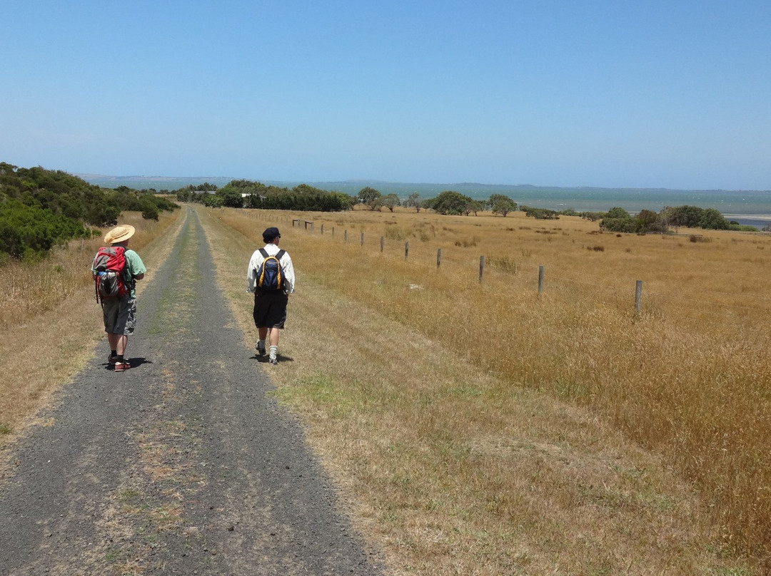 French Island Tours - Day Tours景点图片