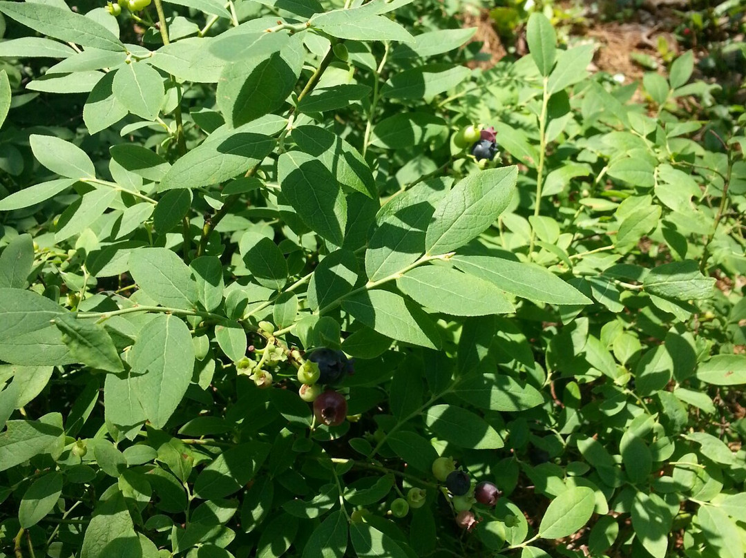 Parc des Cascades-Rawdon必去景点