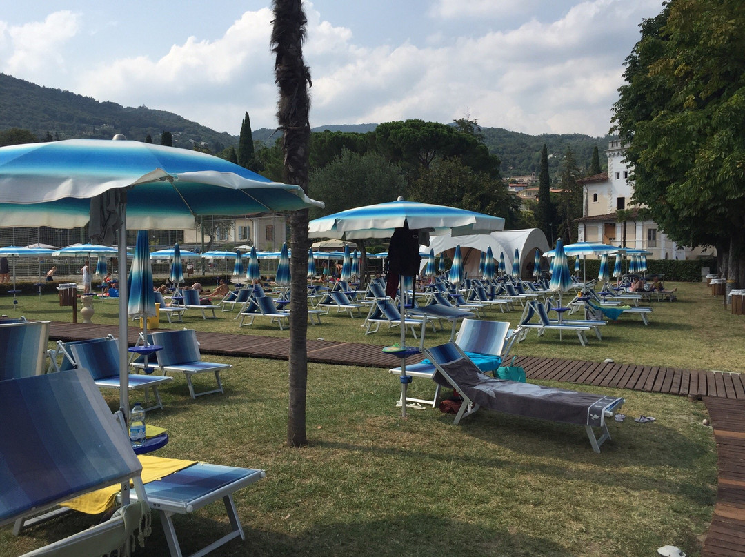 Parco Avventura Rimbalzello Adventure景点图片