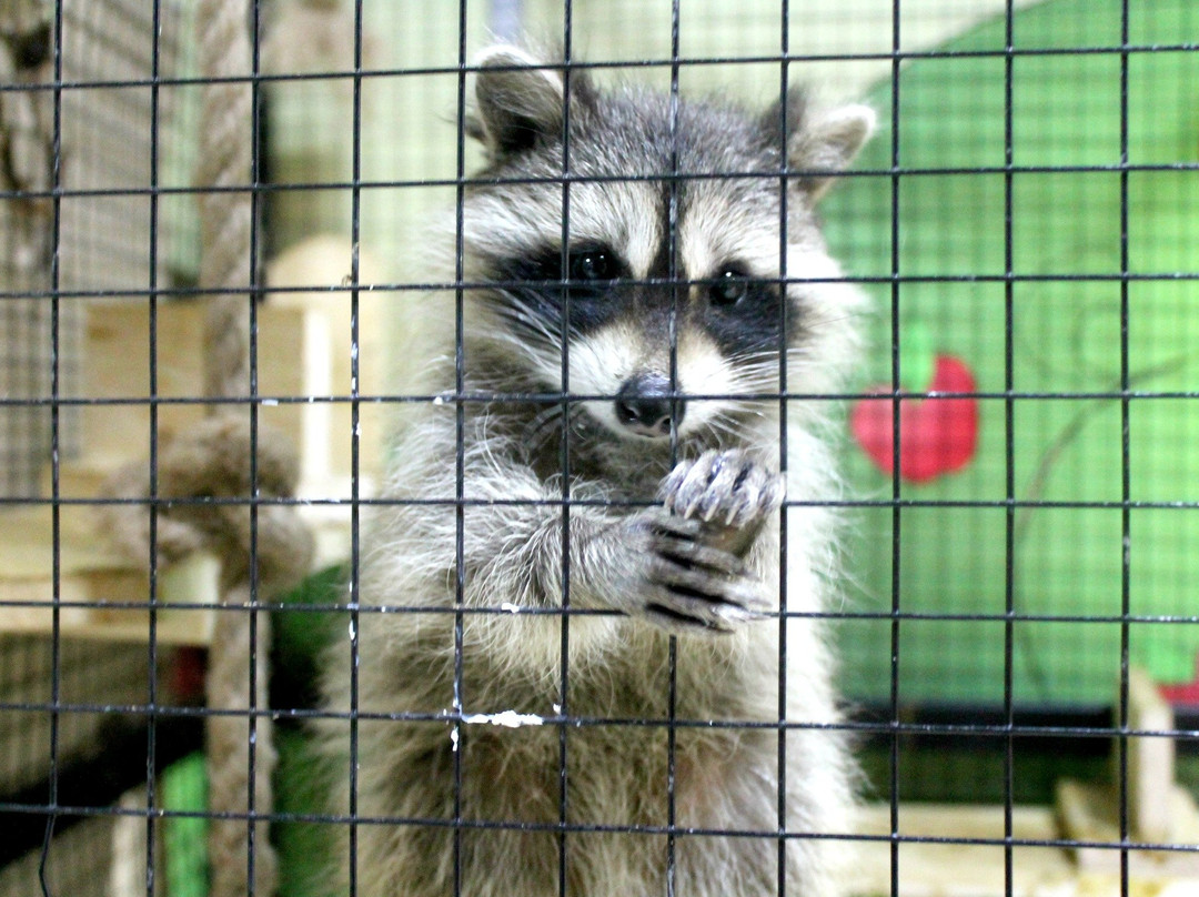 Touching Zoo Zvero-Polis-Istra必去景点