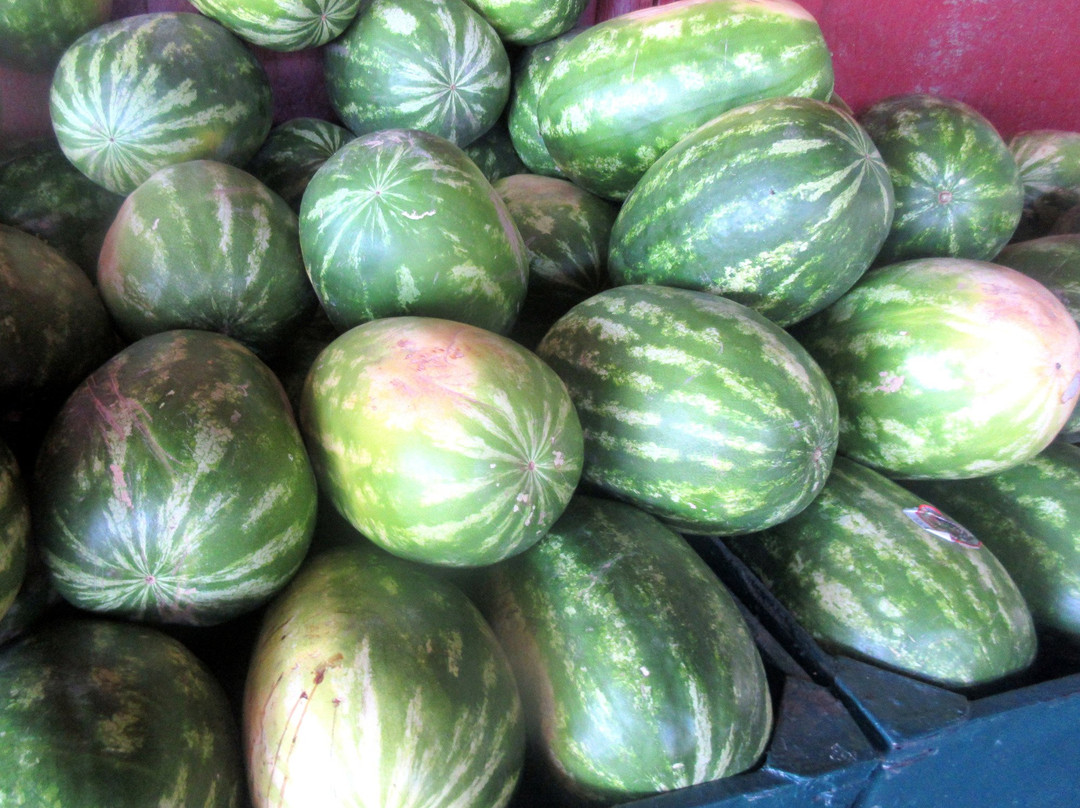 Larry's Produce-费尔菲尔德必去景点