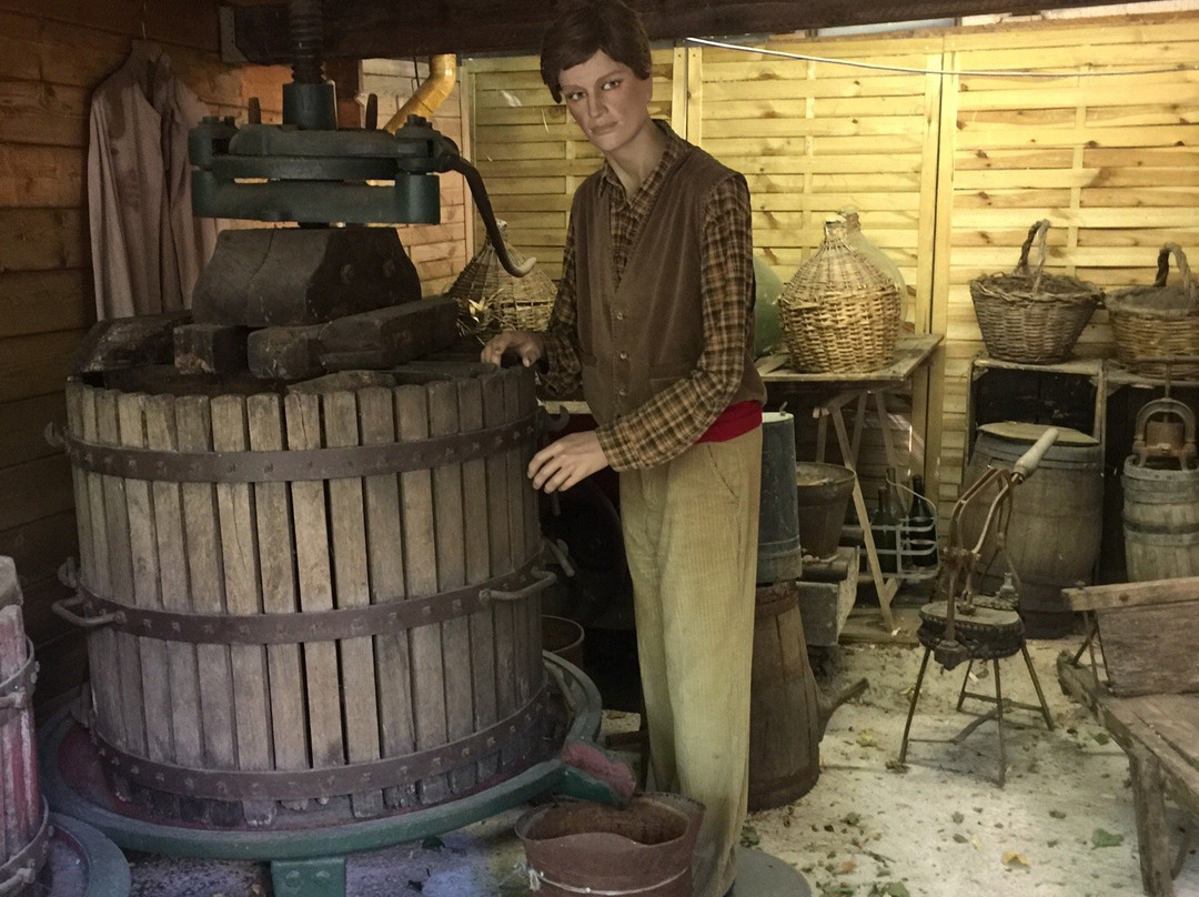 Musée d'Histoire Locale et des Traditions景点图片