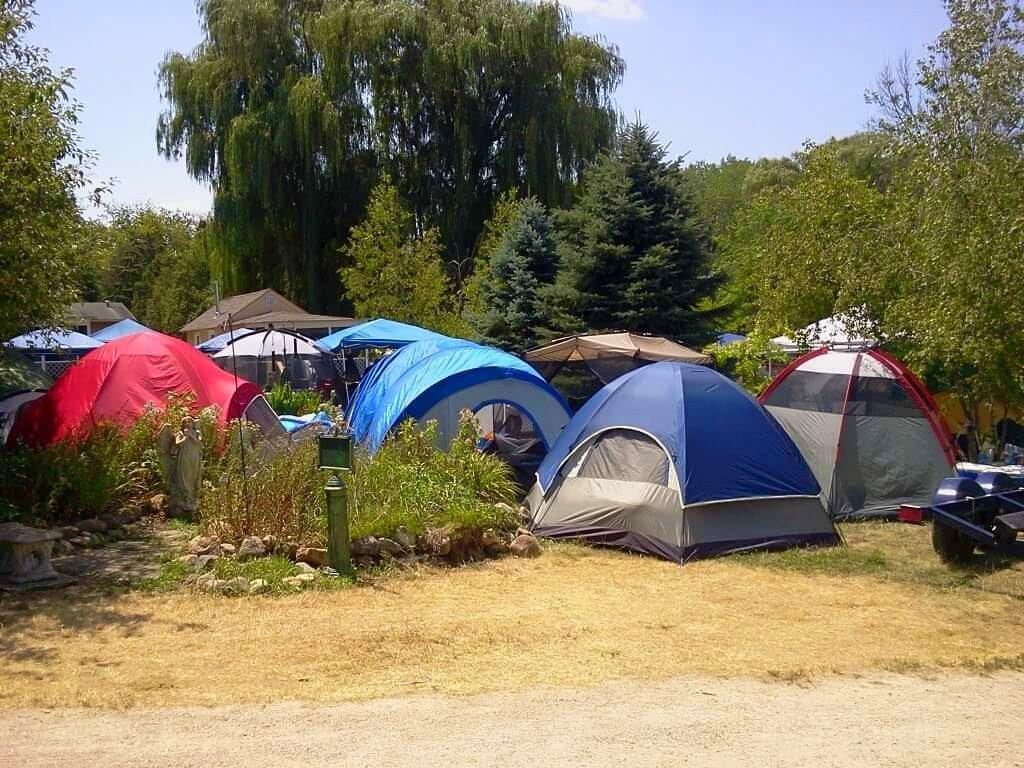 McIntyre's Resort