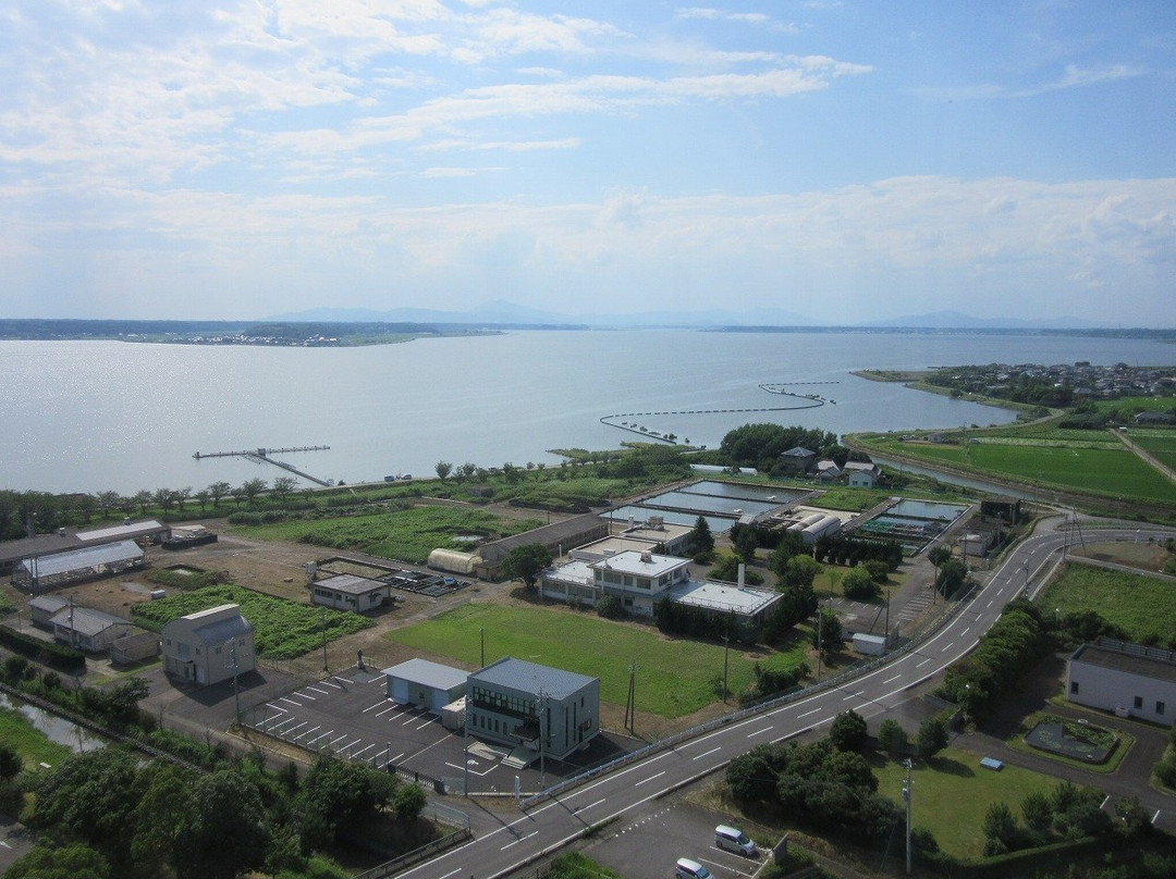 Kasumigaura Fureai Land景点图片