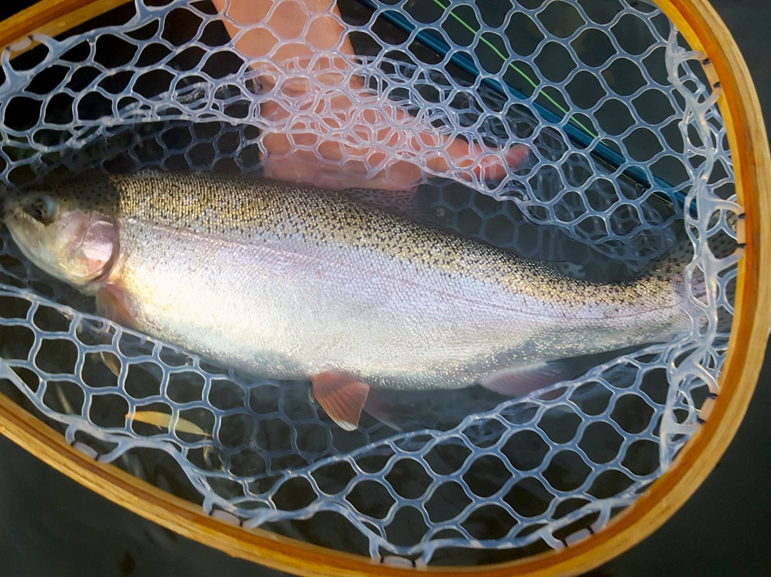 Wilderness Trails and the Vermont Fishing School-Quechee必去景点