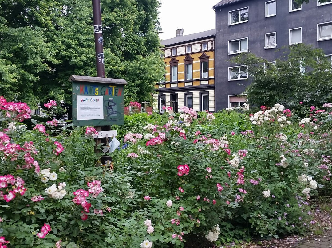 Immanuel Kant Park-杜伊斯堡必去景点