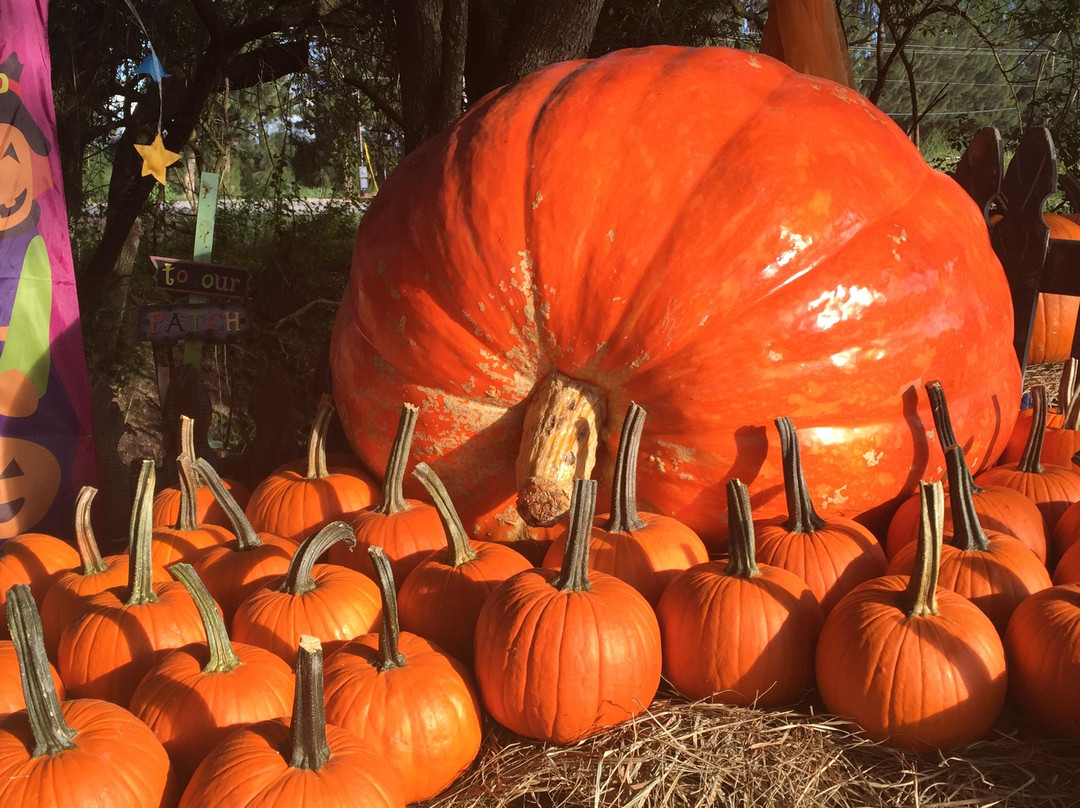 Hydro Harvest Farms-Ruskin必去景点