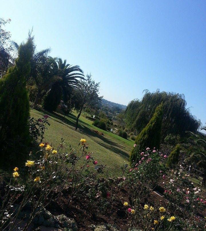 琥珀色玫瑰国家庄园主图