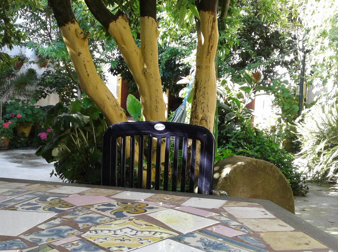 Pátio das Flores e Belavista主图