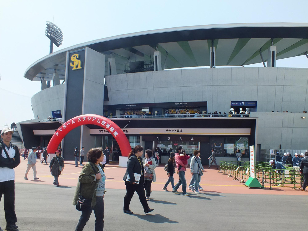 Tama Home Stadium Chikugo景点图片