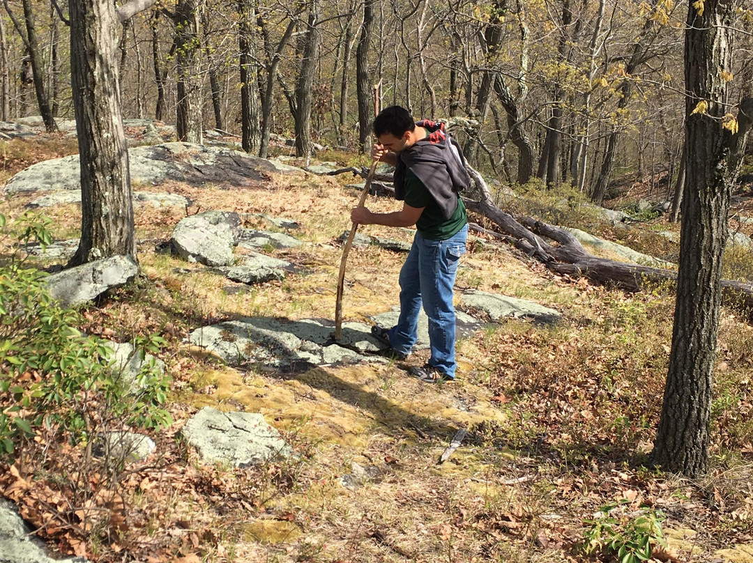 Turkey Mountain Nature Preserve景点图片