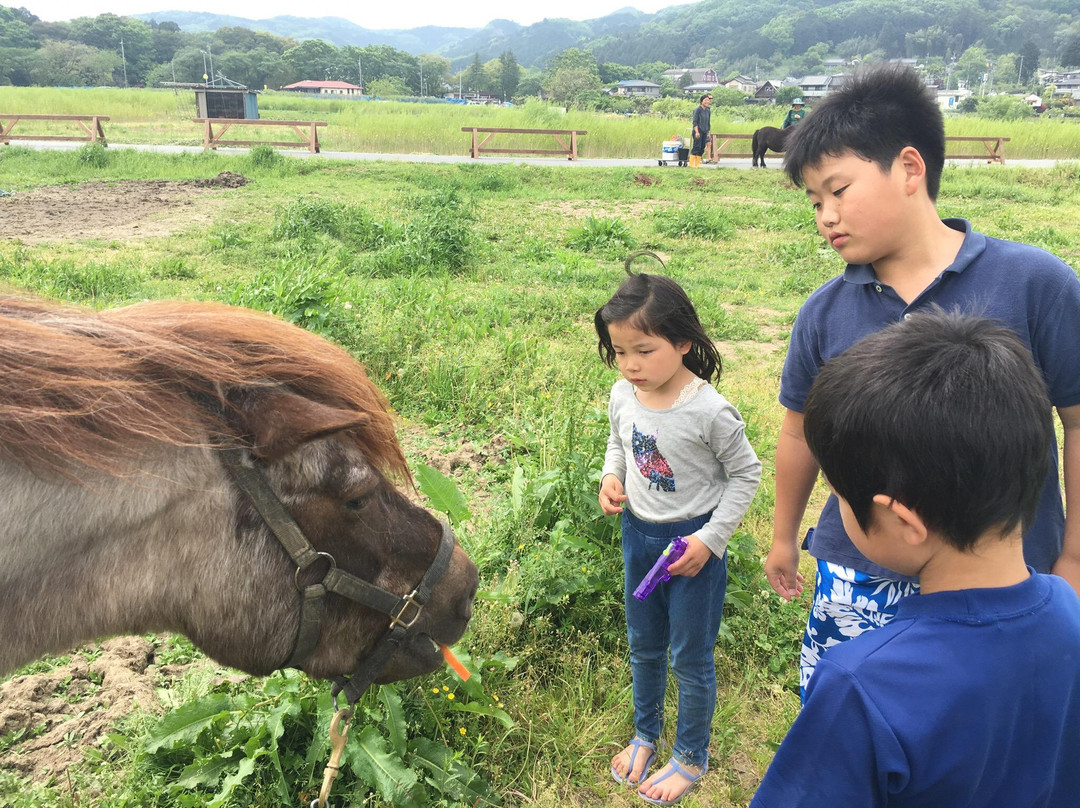 Sashima Horse Farm-日高市必去景点
