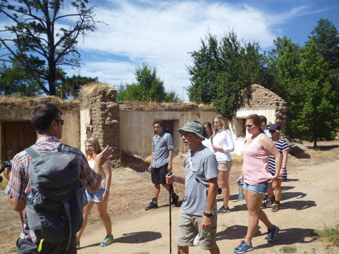 Vina Las Pitras-Curico必去景点