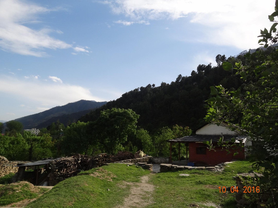 Dechen Choekhor Mahavihara Monastery景点图片