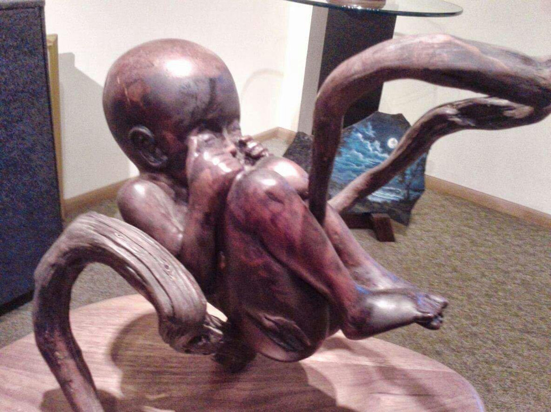 Baliker Gallery-棕榈海岸必去景点