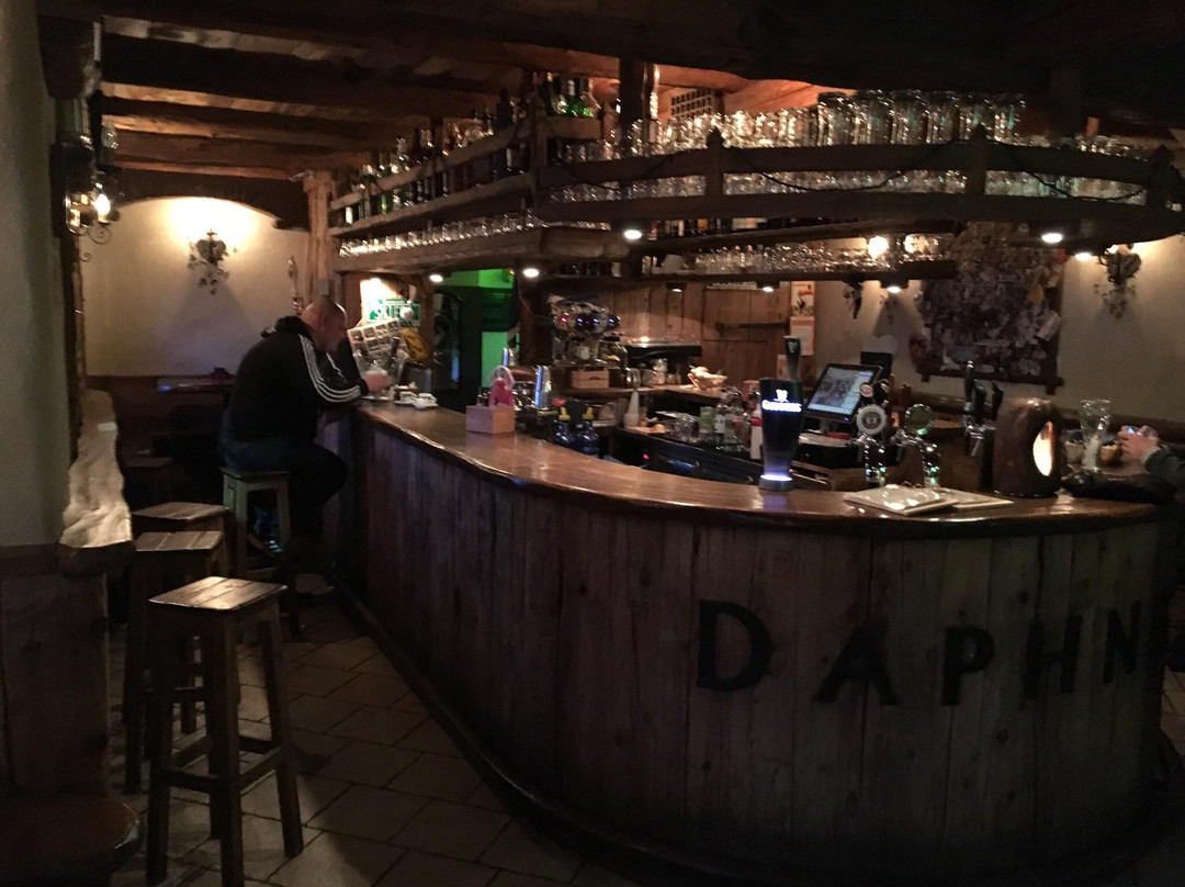 Daphne's pub-利维尼奥必去景点