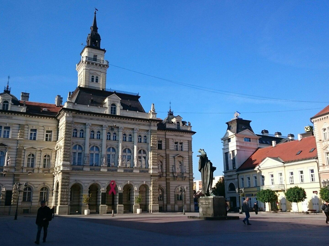 Svetozar Miletic Square景点图片