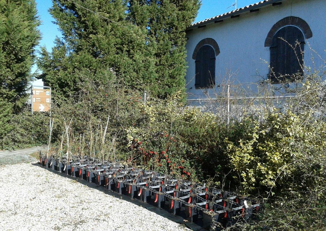 Museo Giardino della Rosa Antica-Serramazzoni必去景点
