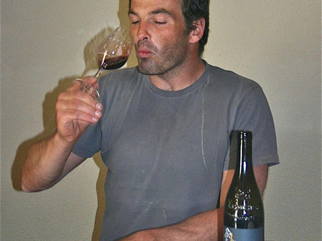Rhone Wine Holidays景点图片