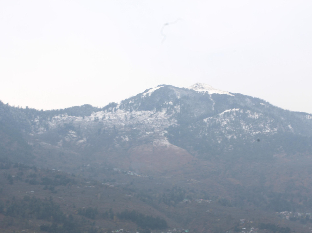 Oakwood Chalet主图