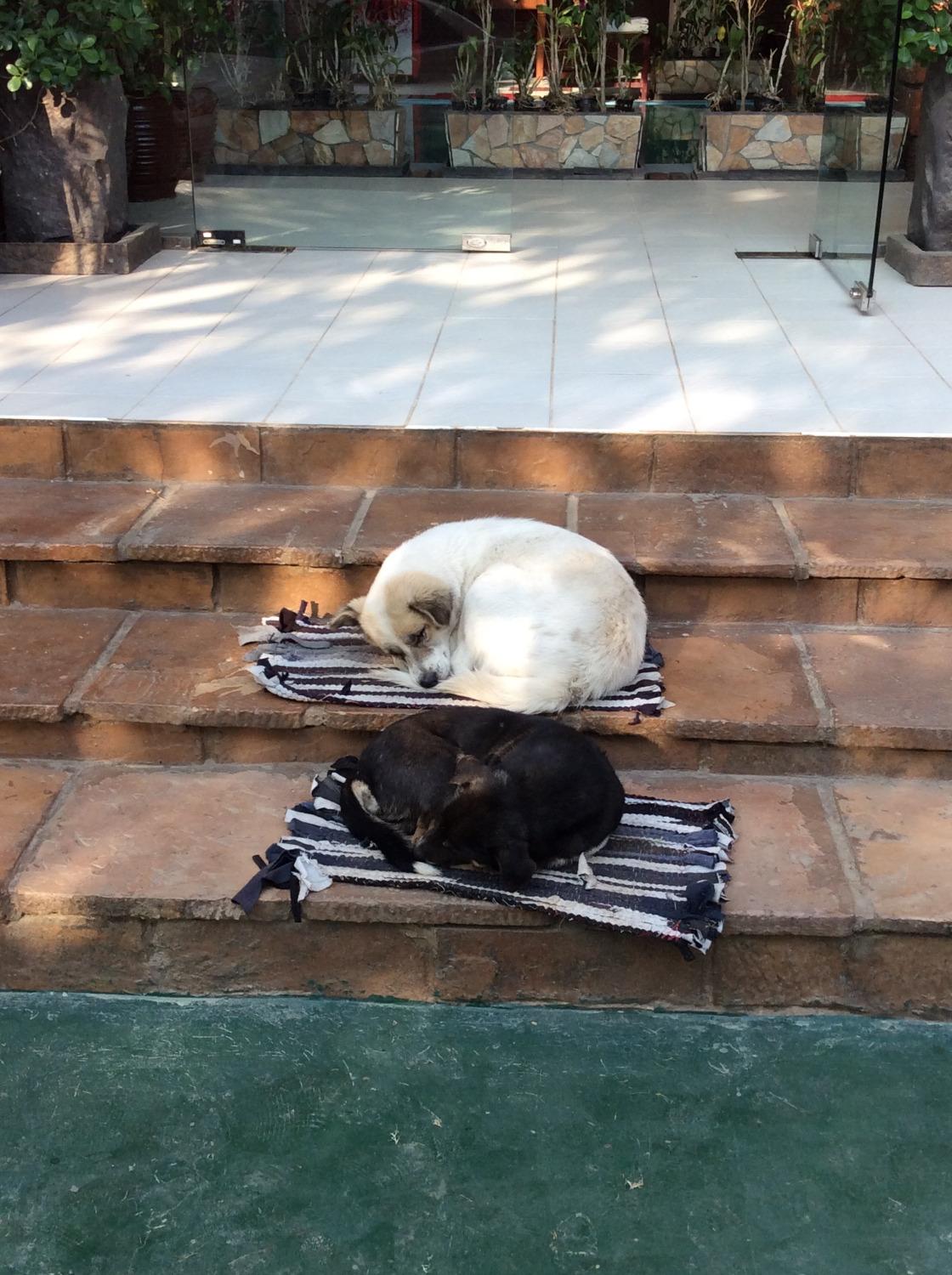 Hotel Mega Stars-官方