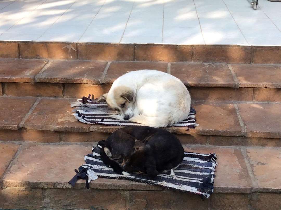 Hotel Mega Stars主图