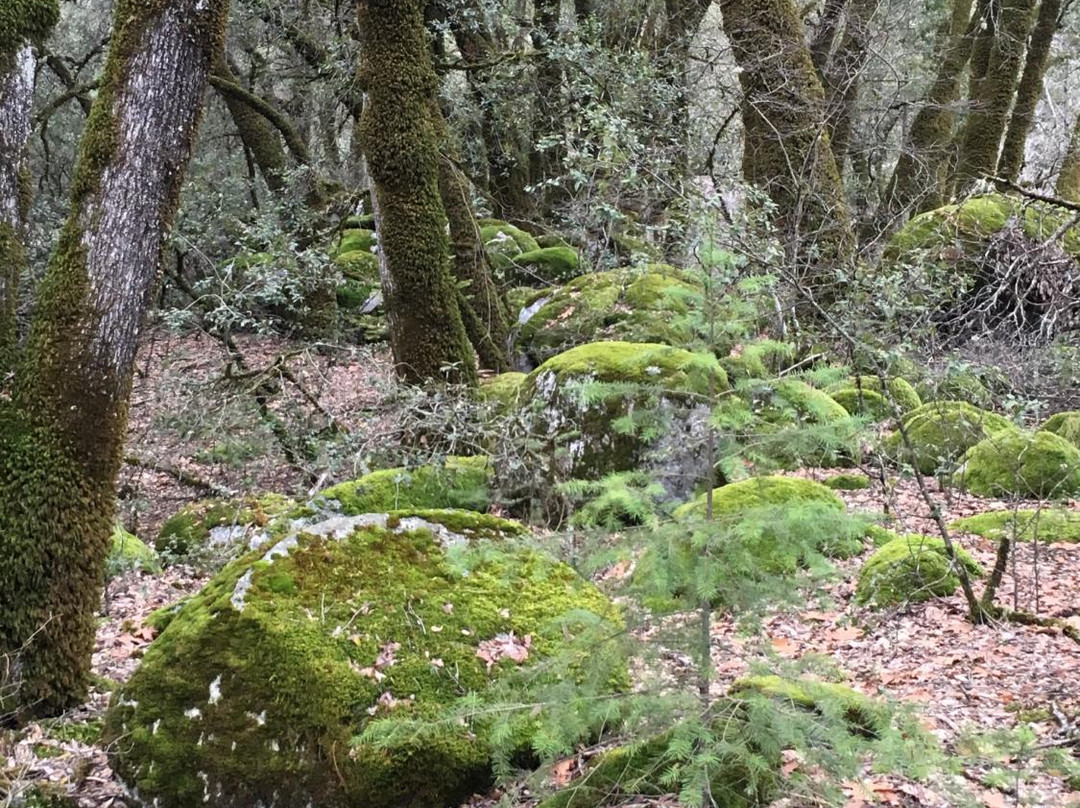 Brandy Creek Falls-Whiskeytown必去景点