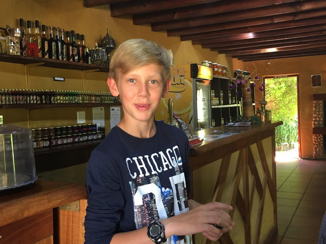 Wilderbraam Berry Estate-斯韦伦丹必去景点