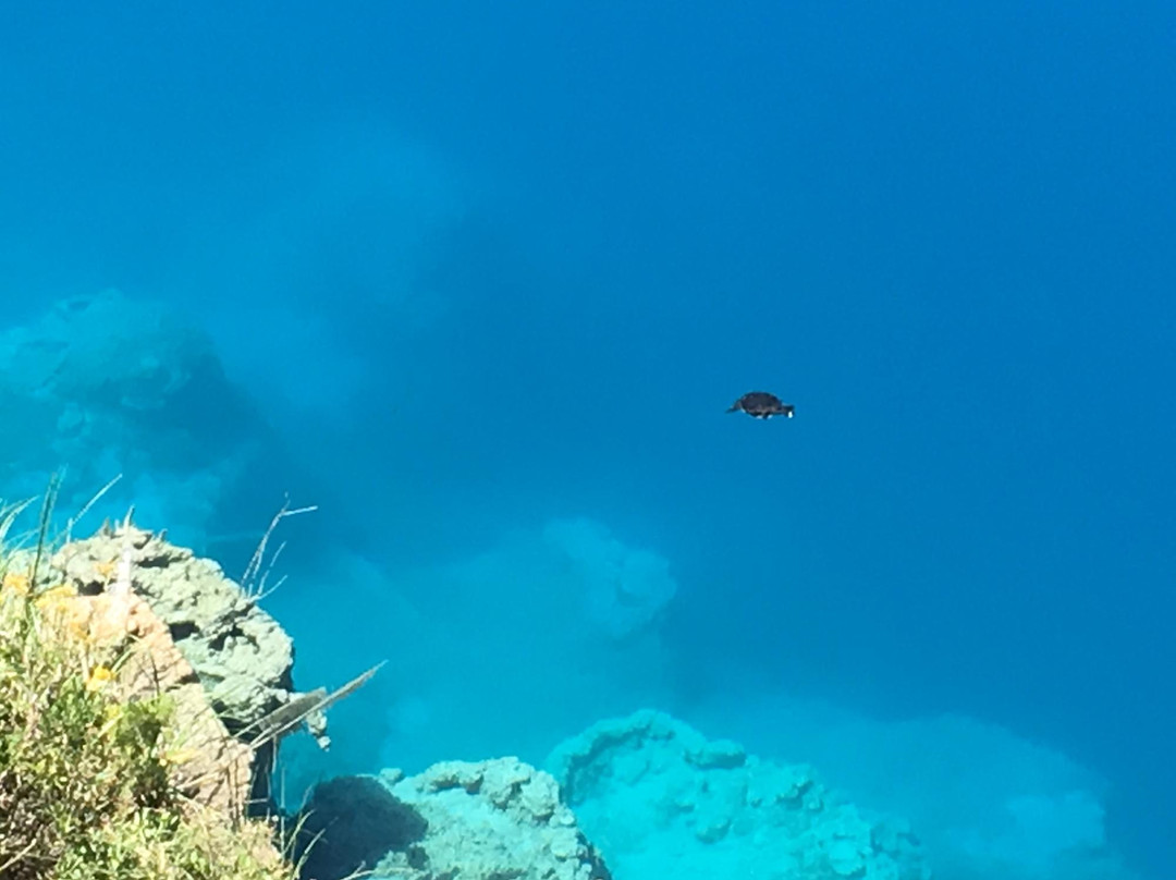 Aquifer Tours-芒特甘比尔必去景点