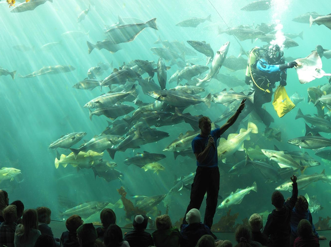 Atlantic Sea Park景点图片