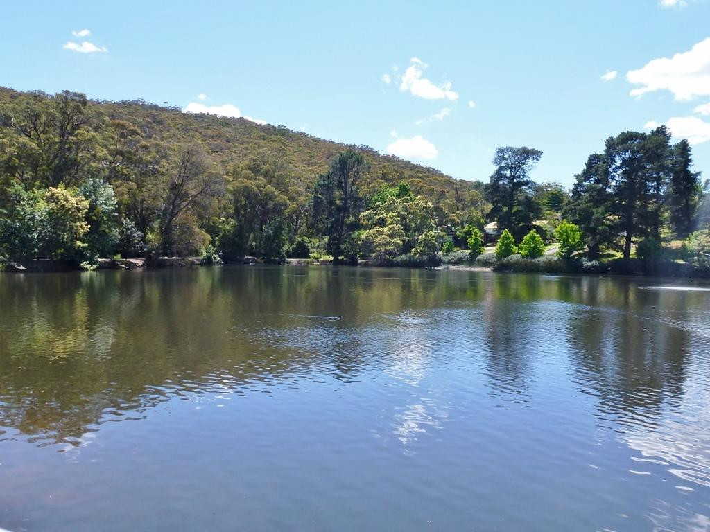Lake Alexandra Reserve景点图片