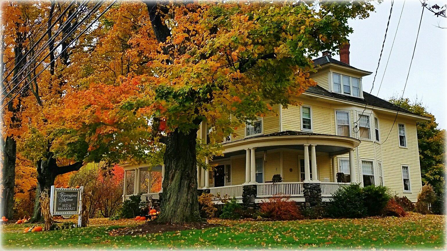 Torrington Manor B&B-客卧