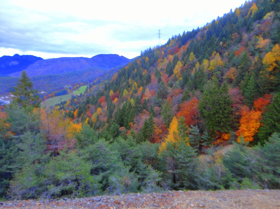 Faedo旅游攻略图片
