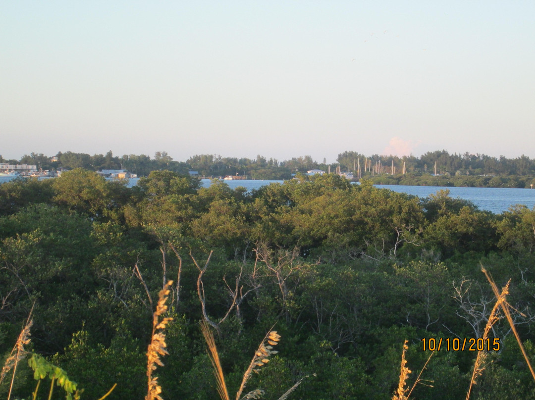 Coquina Baywalk景点图片