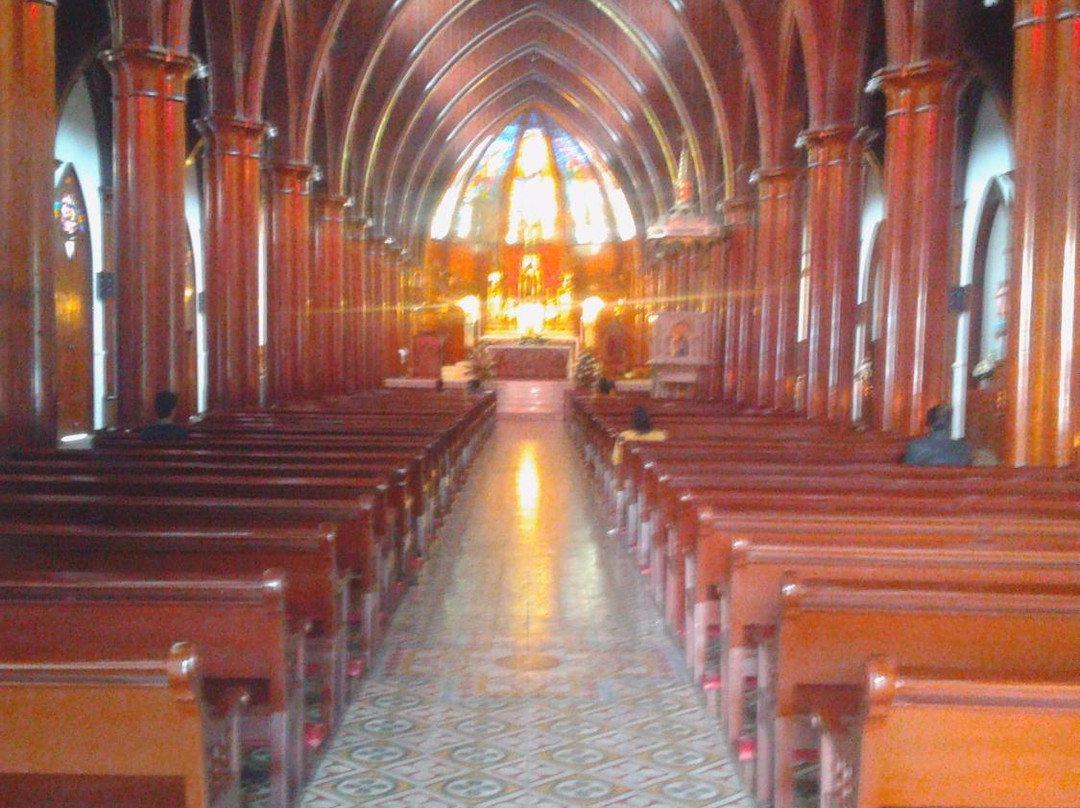 Basílica Menor de la Inmaculada Concepción-Manizales必去景点