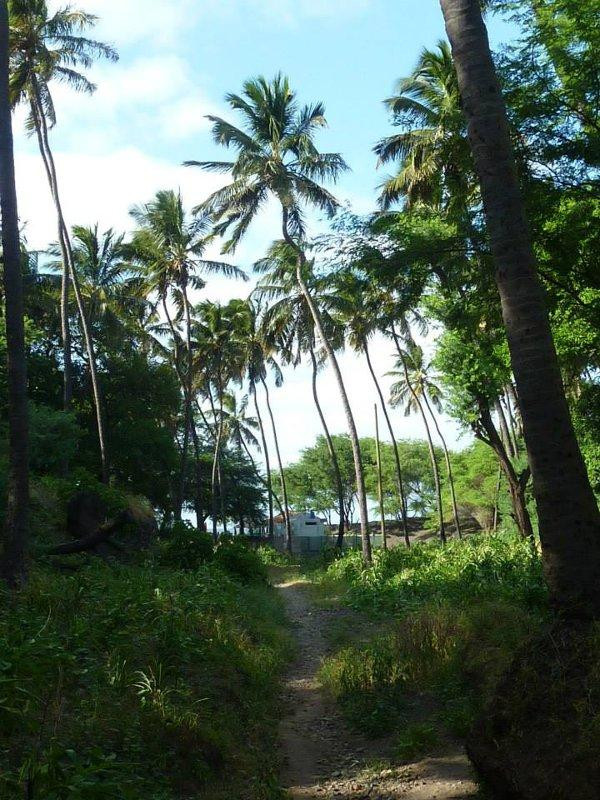 Ein Tag am Silberstrand auf Santiago-Tarrafal必去景点