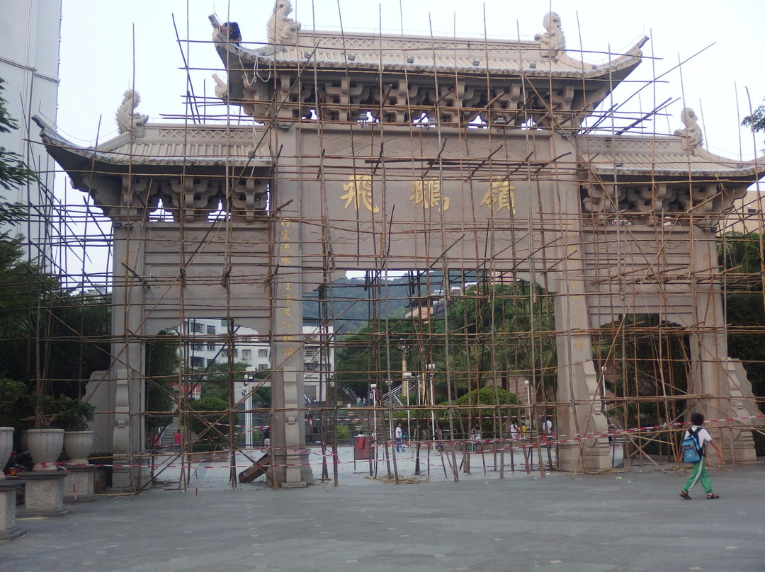 飞鹅岭森林公园-惠东县必去景点