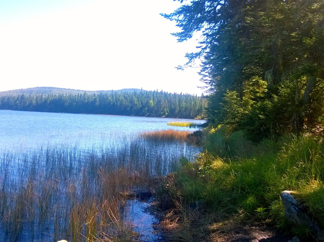 Coleman State Park-West Stewartstown必去景点