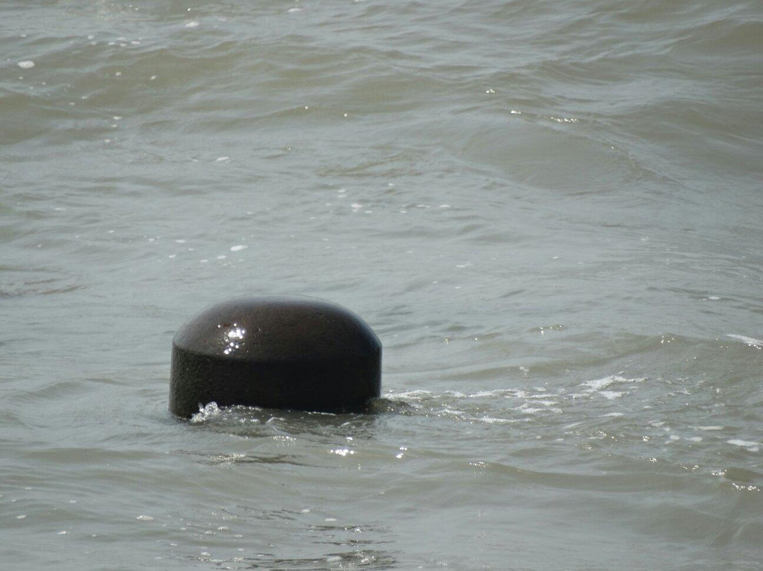 Somnath temple-达曼必去景点