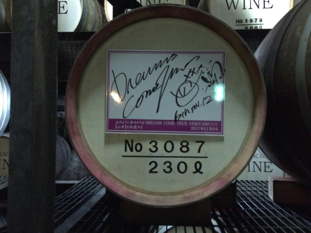 池田美梦成真博物馆-池田町必去景点