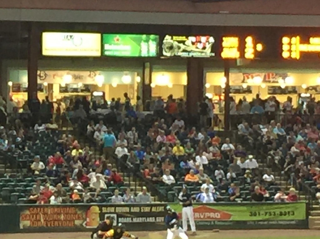 Regency Furniture Stadium-Waldorf必去景点