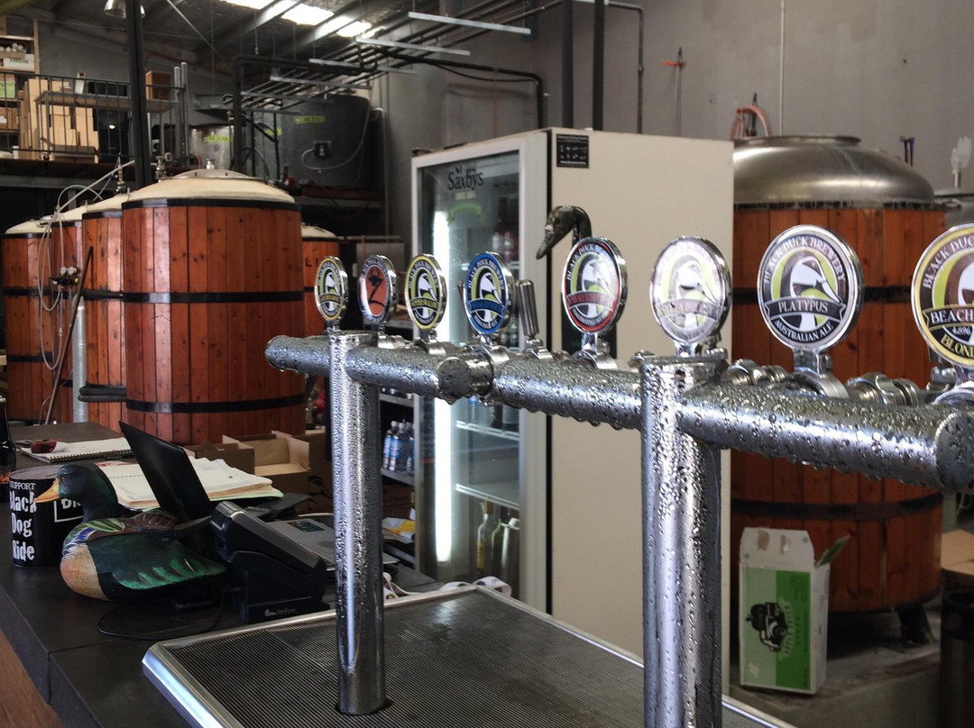 Black Duck Brewery-麦克夸利港必去景点