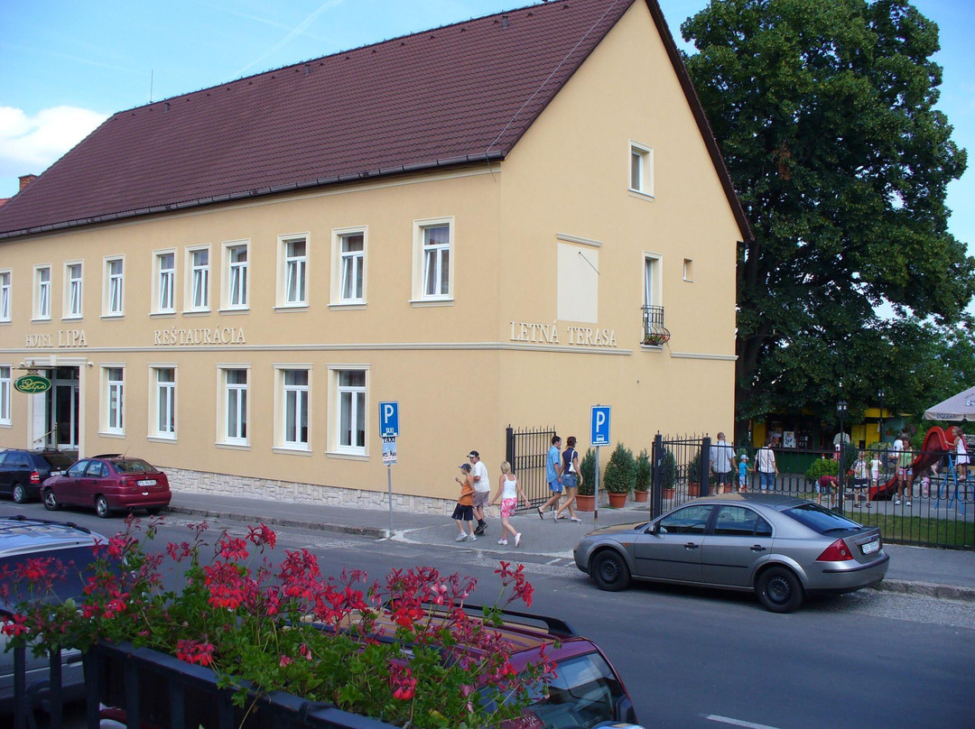 Hotel Lipa Bojnice主图