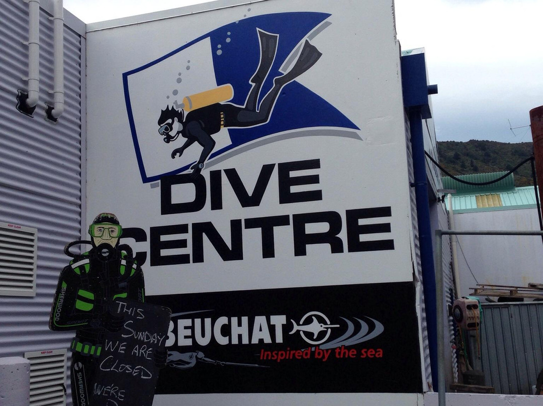 Waikawa Dive Centre景点图片