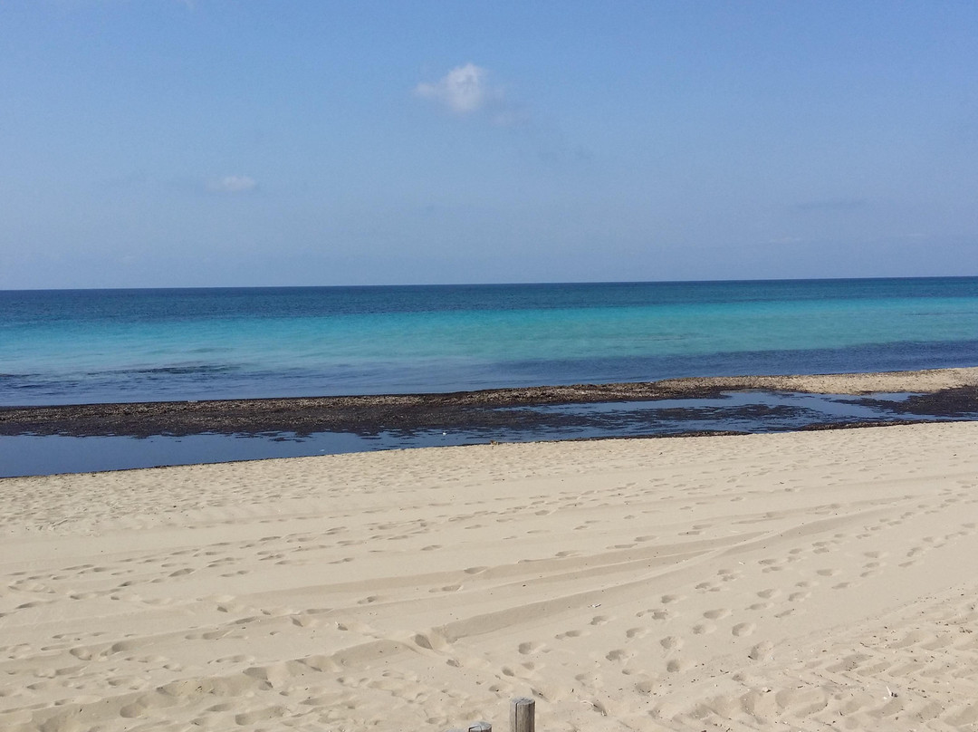 Spiaggia di San Pietro in Bevagna-Manduria必去景点
