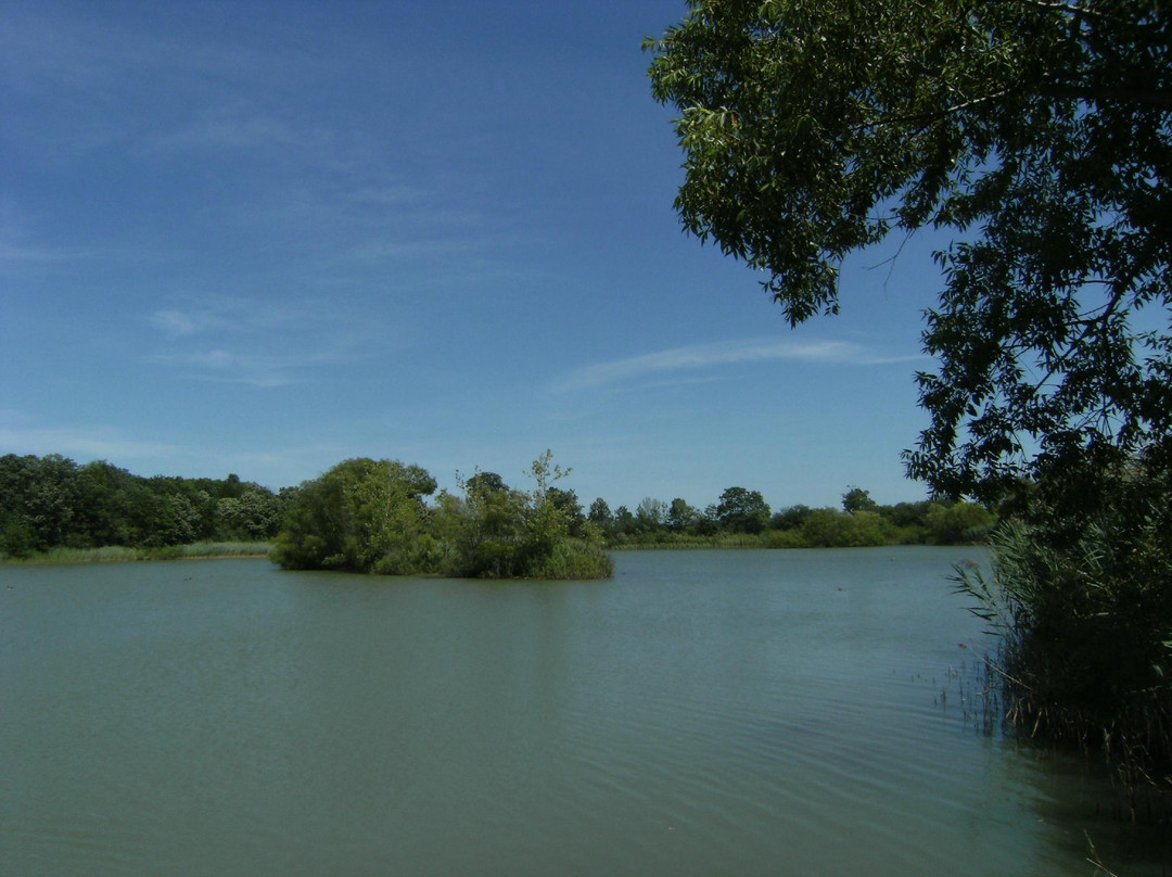 Glenridge Quarry Naturalization Site-圣凯瑟琳斯必去景点