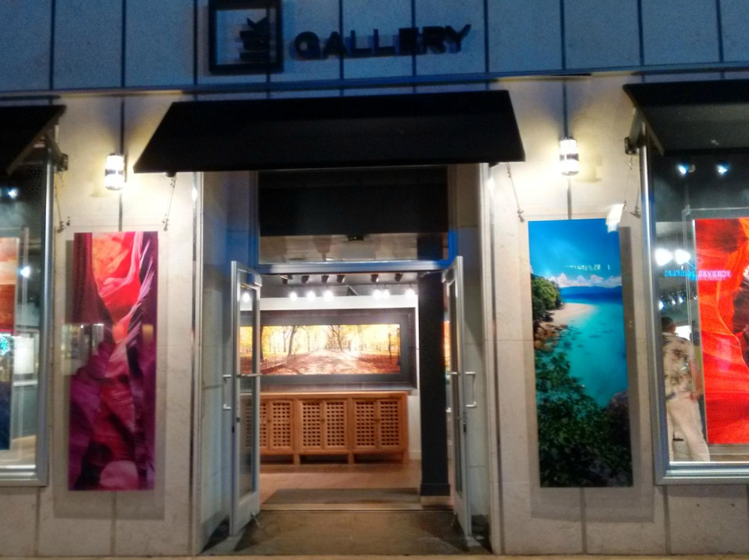 Lik Miami-迈阿密海滩必去景点