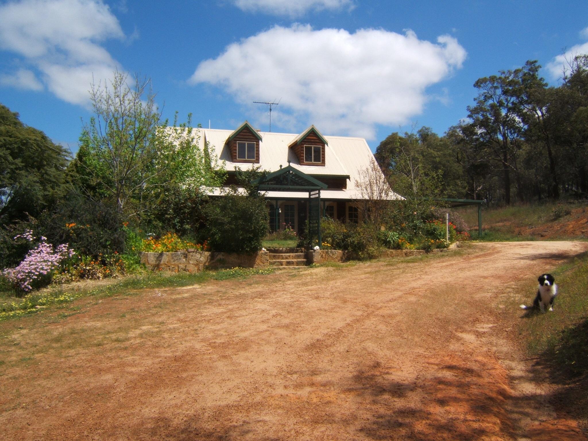 Treetops Guesthouse-官方