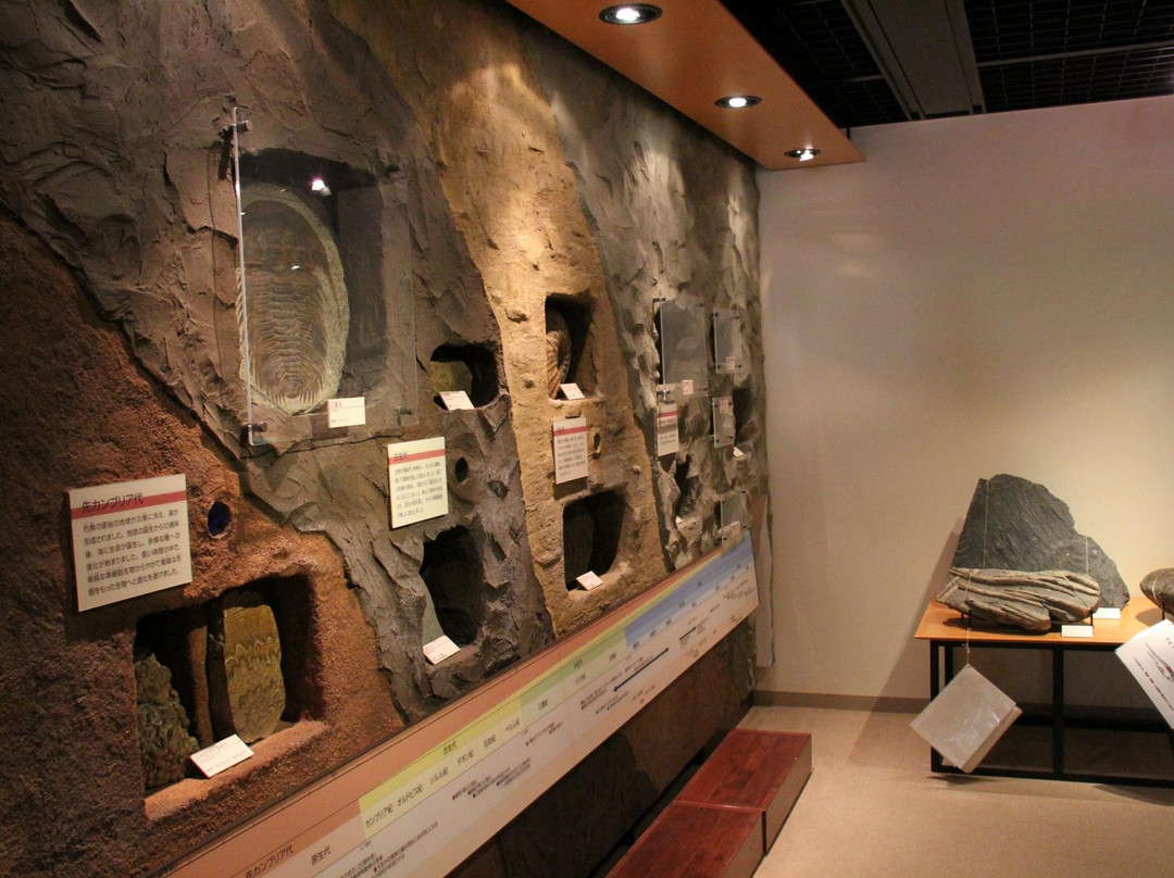 Shimane Nature MUseum of Mt.Sambe Sahimel-大田市必去景点