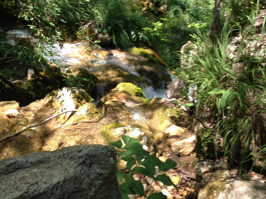 Cascata dello Schioppo景点图片